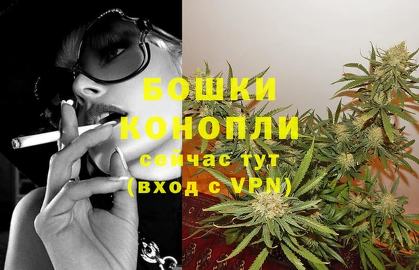 гидра Елабуга