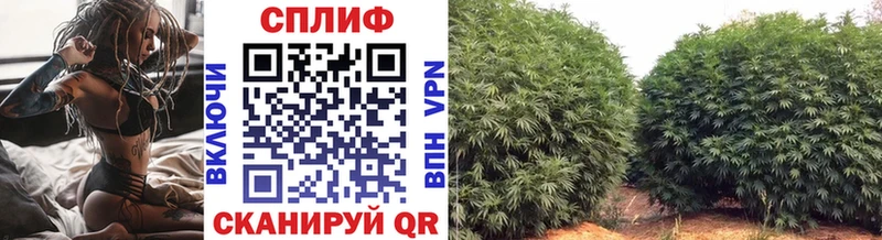 Каннабис ГИДРОПОН  Голицыно 